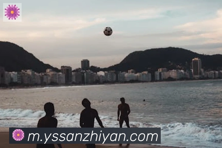 多媒体互动体验