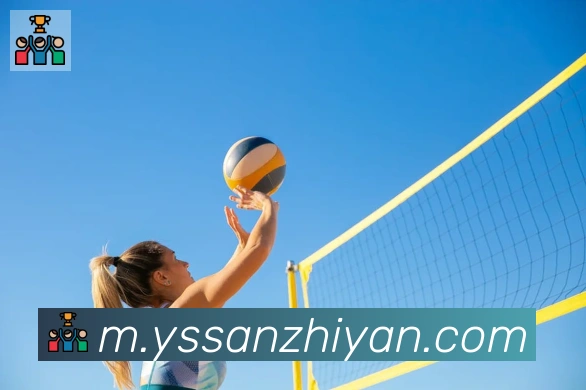 必一运动app官网入口荣誉