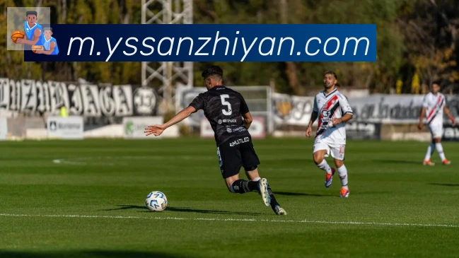 必一运动app官网入口荣誉